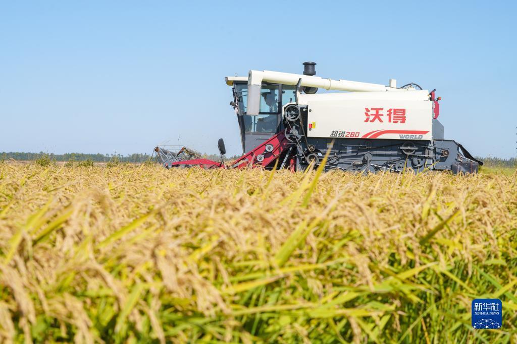 老虎机钱道错误